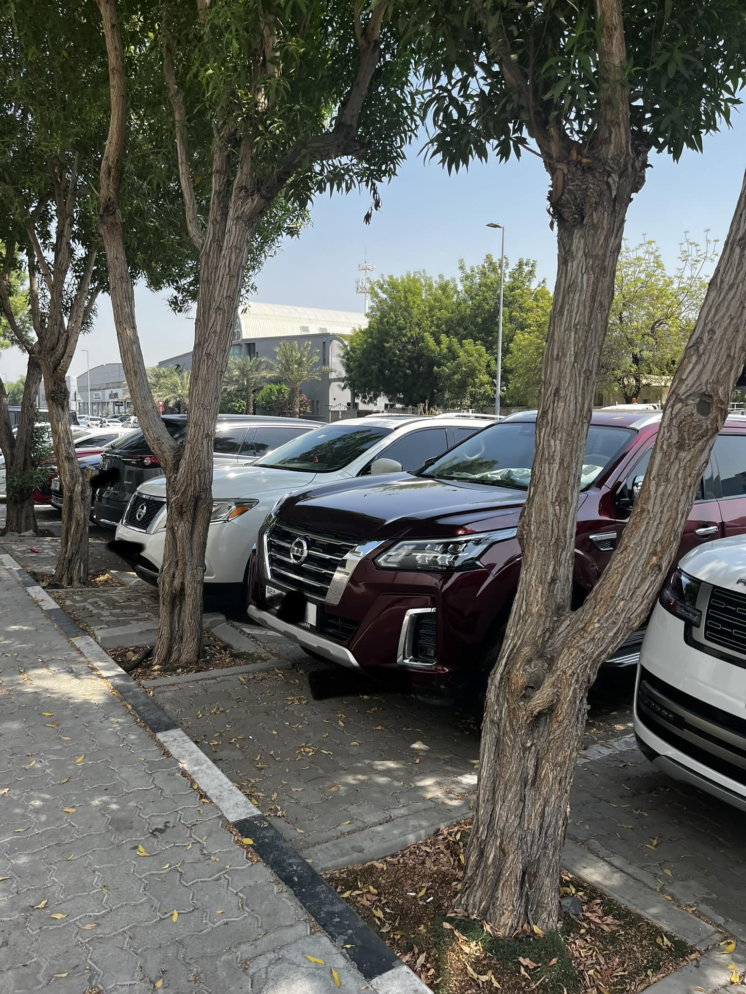 How people handle parking spot road rage in Dubai